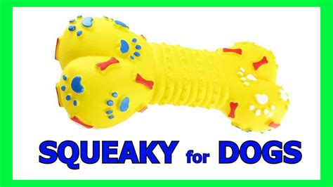 dog squeaky toy noise|dog toys with removable squeaker.